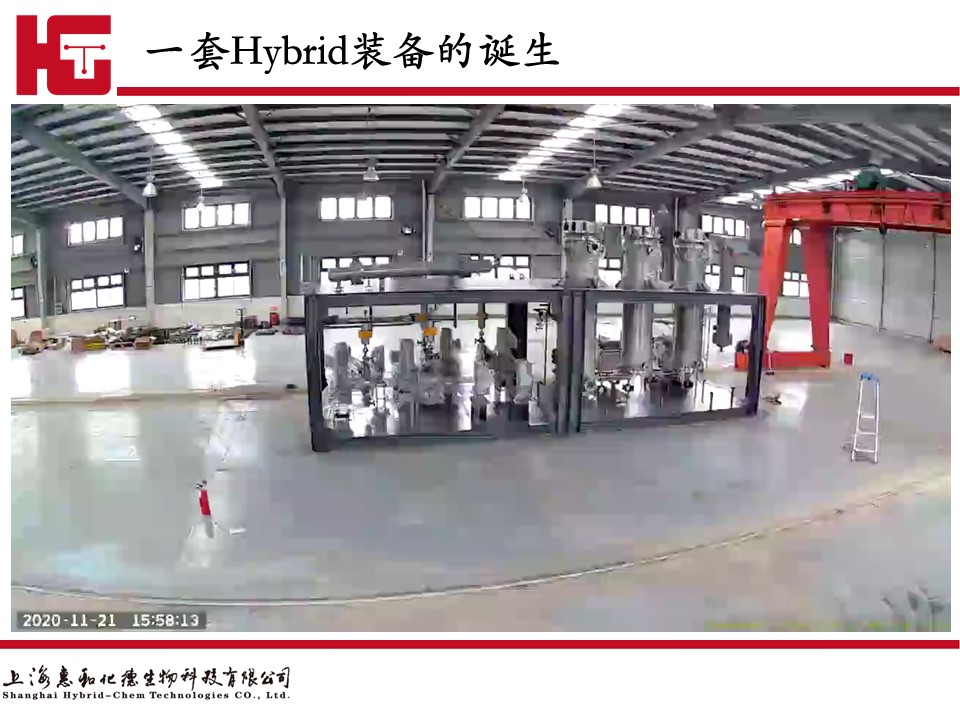 图十二.jpg